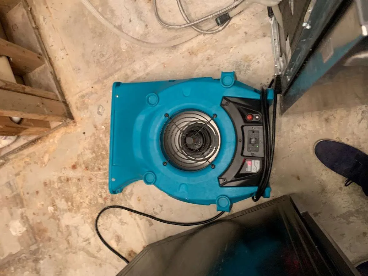 Air mover drying equipment for Mold Remediation & Removal in Beachwood